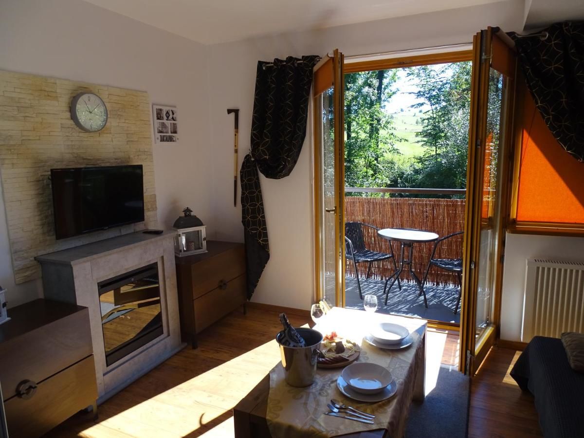 Апартаменты Apartament Joanna Поронин