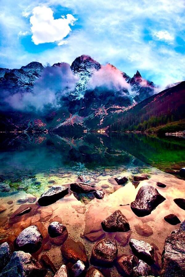 Апартаменты Apartament Joanna Поронин