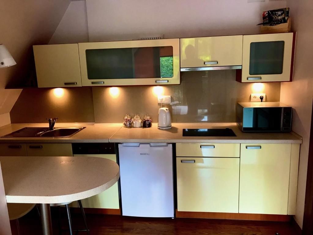 Апартаменты Apartament Joanna Поронин