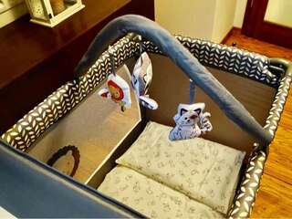 Апартаменты Apartament Joanna Поронин Апартаменты-29