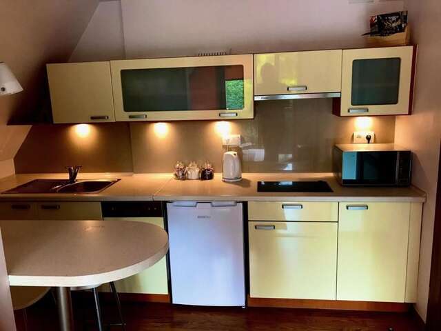 Апартаменты Apartament Joanna Поронин-49